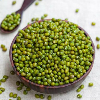 Fresh Organic Mustard Leaves 